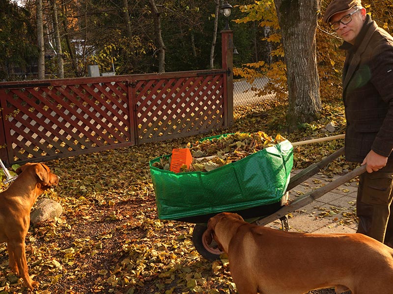 kratta och städa i trädgården i november