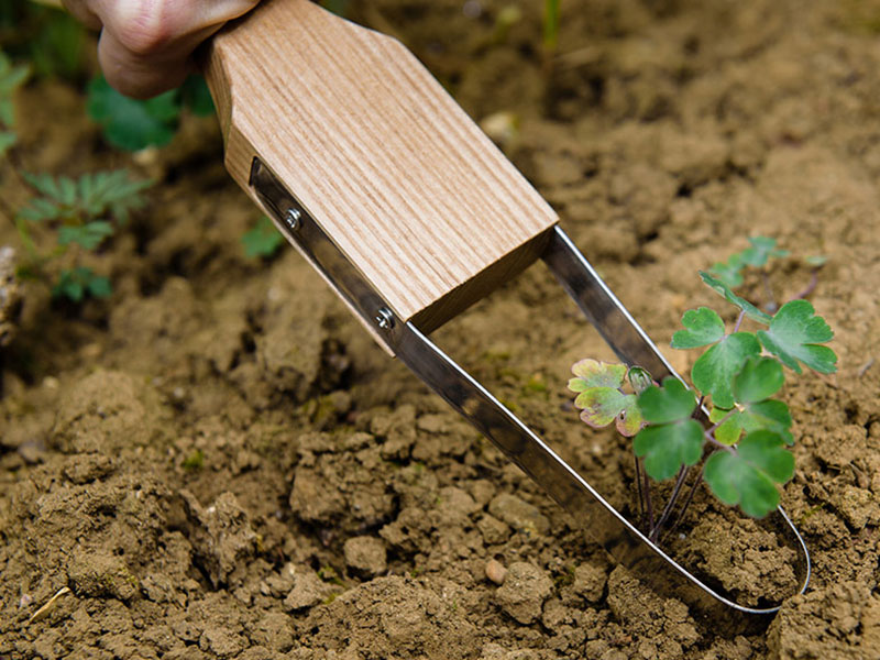 Rensjärn hand loop weeder