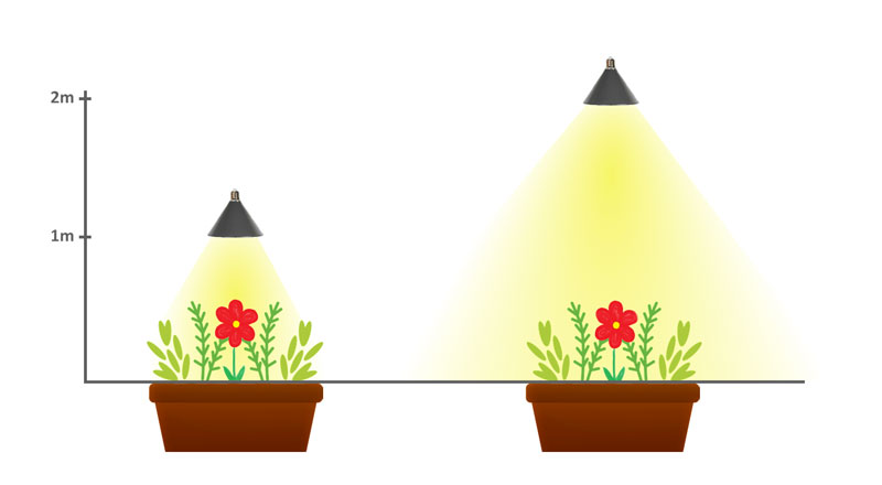Betydelse av avstånd till växter vid belysning