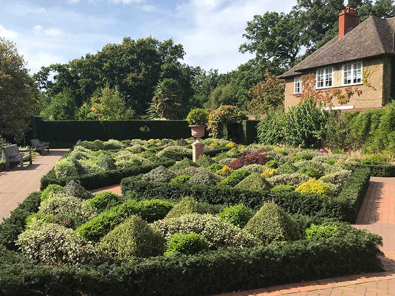 Wisely garden med vintergrön topiary 