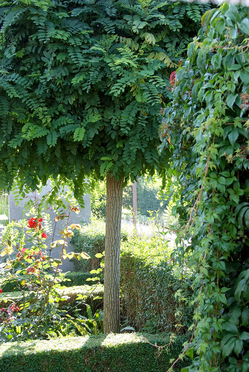 Prydnadstrad Rad For Plantering Wexthuset