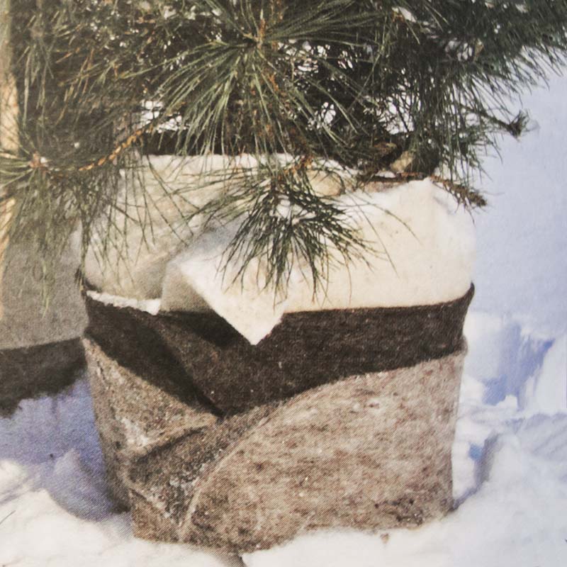 Vinterskydd av kruka i fårull Vinterskydd av kruka i fårull