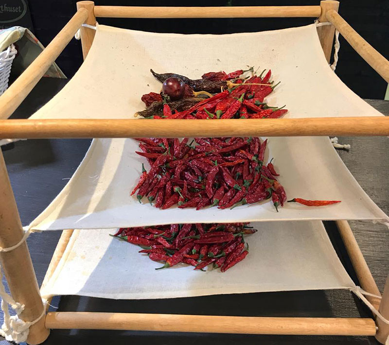 torkning av chilifrukter i örttork
