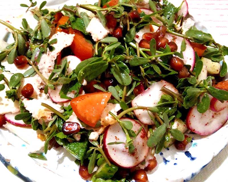 Fattoush sallad med portlak Fattoush sallad med portlak