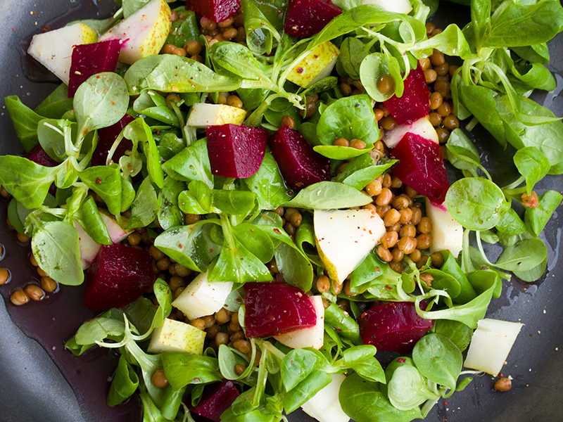 Vintersallat i sallad - x Vintersallat i sallad - x