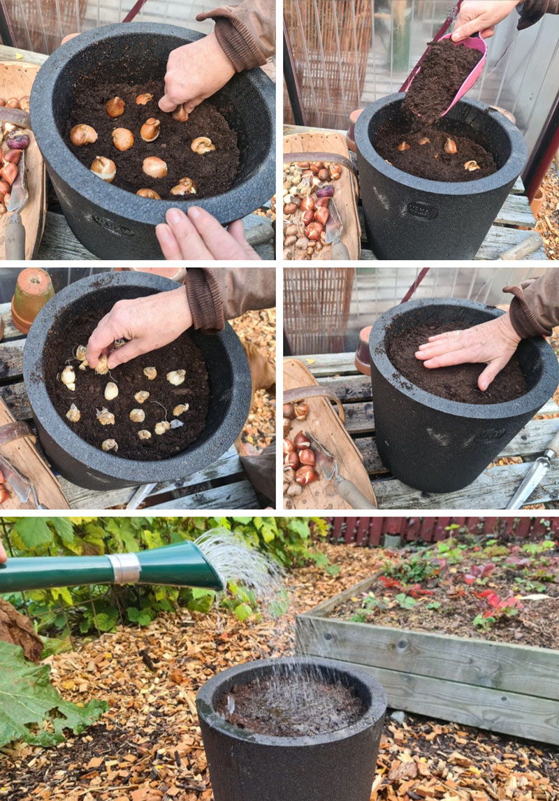 Löklasagn steg-för-steg -  LS