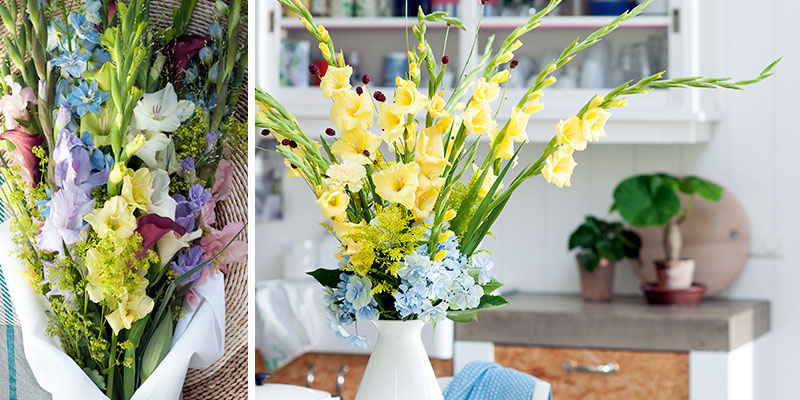 gladiolus I bukett som snittblomma