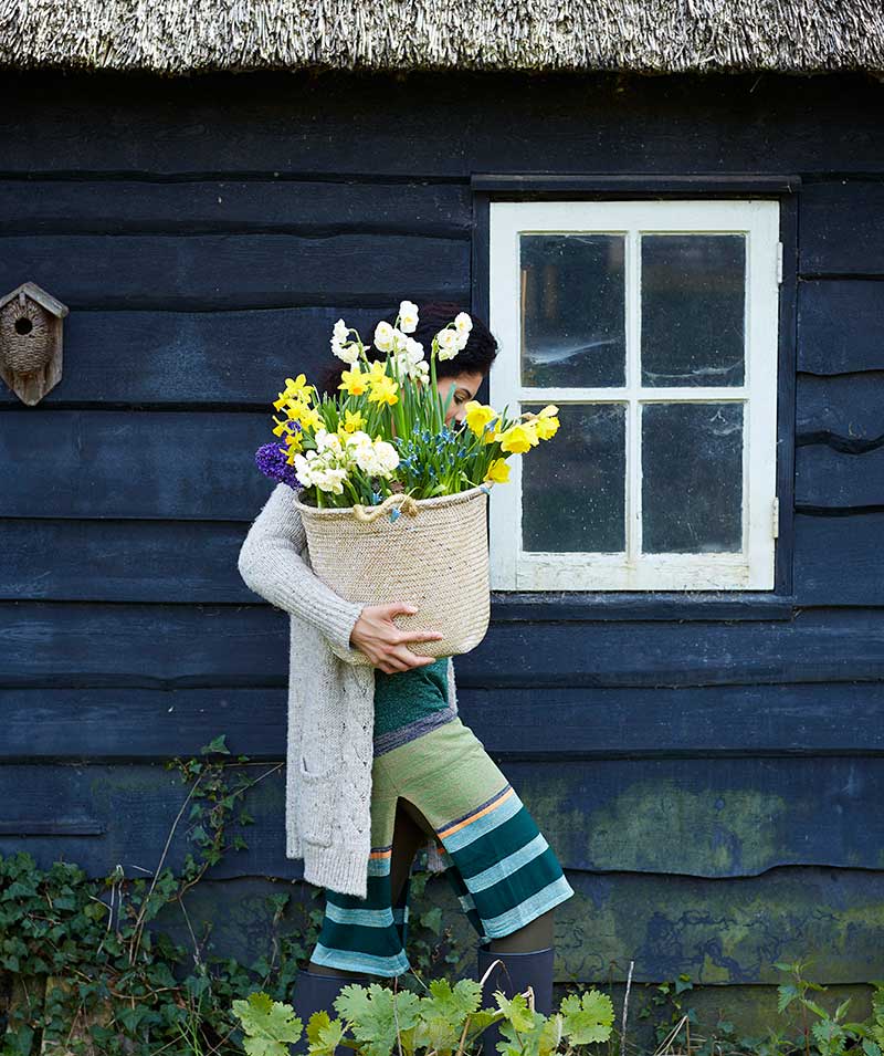 Narcisser i kruka utomhus - x