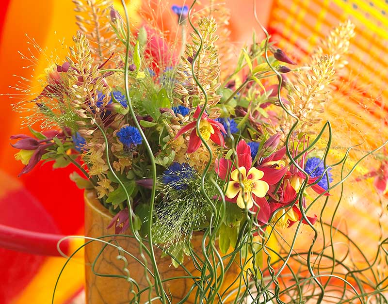 akleja som snittblomma i bukett