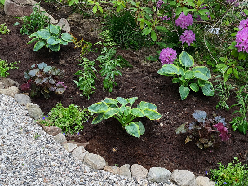 Ny rabatt med perenner