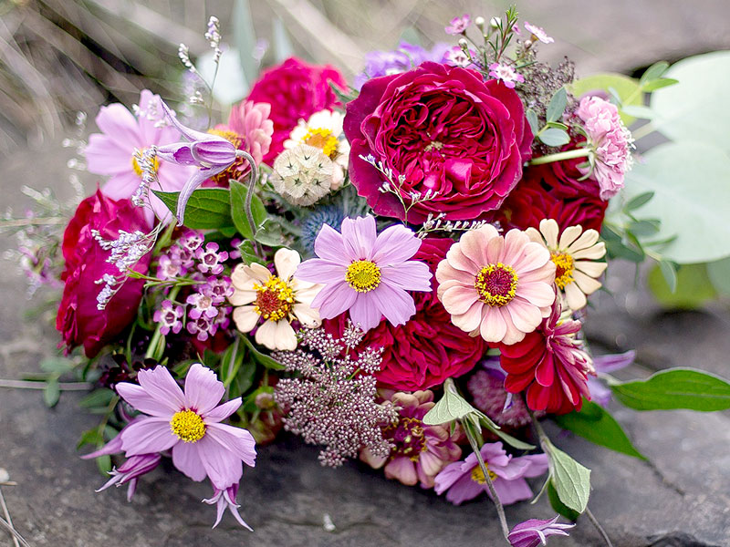 Bukett med rosenskära, zinnia, slöjsila och stjärnvädd m.fl.