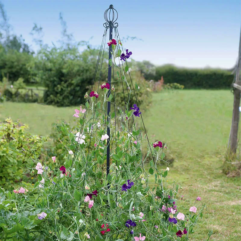 Växtstöd Maypole