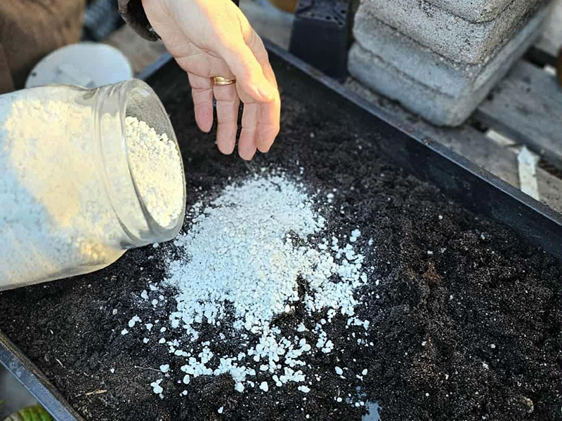 Perlit blandat med jord för bra dränering