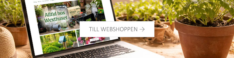 Till webshoppen