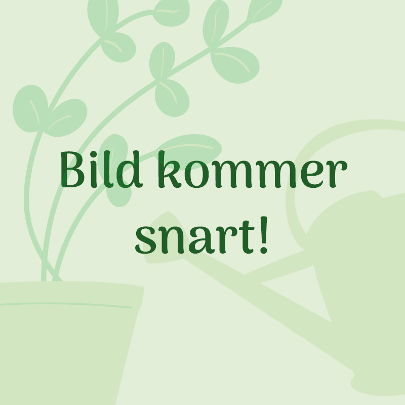 Fundament till Qube Lean-to 4,7 kvm