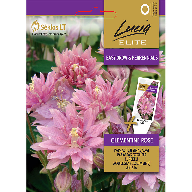 Frö till Akleja 'Clementine Rose' Wexthuset