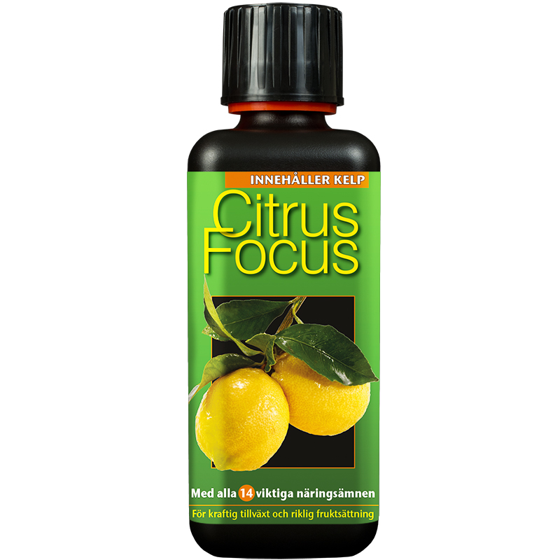 Citrusnäring Citrus Focus 300ml