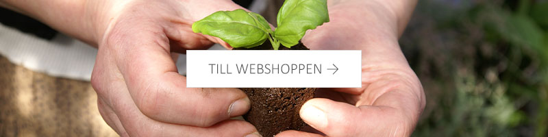 Till webshoppen