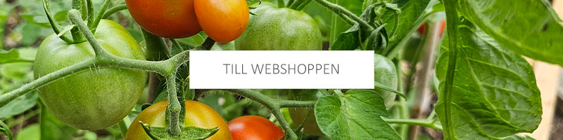 Till webshoppen