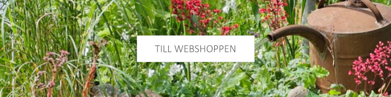Till webshoppen