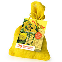 Lökmix Yellow Bag