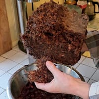 Grovs kokosfiber för plantering