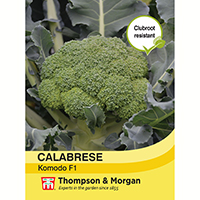 Broccoli 'Komodo Calabrese'