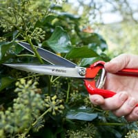 Beskärning med perennsax