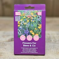 Ängsmix Flowers For Bees