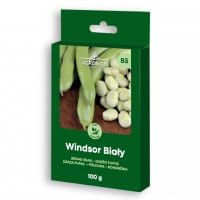 Bondböna 'Windsor Bialy', storpack 