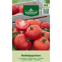 Busktomat 'Rotkäppchen'