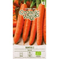 Morot 'Flakkee 2', ekologisk