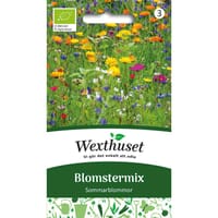 Blomstermix Sommarblommor, ekologisk