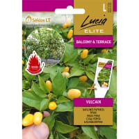 Chilipeppar 'Vulcain'