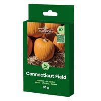 Pajpumpa 'Connecticut Field', storpack