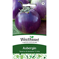 Aubergin, Solanum melongena 'Beatrice & Barbarea' F1 Mix
