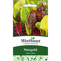 Frö till Mangold, Beta vulgaris 'Bright Lights'