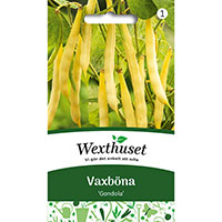 Vaxböna, Phaseolus vulgaris 'Gondola'