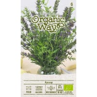 Frö till Isop, ekologisk