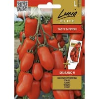 Tomat 'Delikano' F1