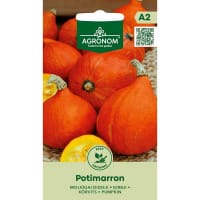 Frö till Jättepumpa 'Potimarron'