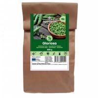 Märgärt 'Gloriosa', storpack