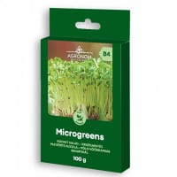 Mikroblad Ruccola, storpack