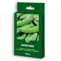 Sockerärt 'Ambrosia', storpack