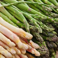 Grön och vit sparris