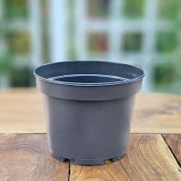 Plastkruka 1,5 liter