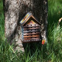 Bihotell med prickmålning - WH