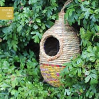 Fågelbo Artisan 'Shesali'