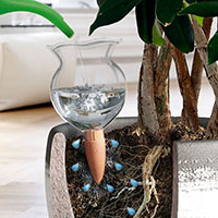 Krukbevattning, Hydro Bloom