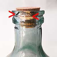 Växtterrarium  kit, 5 L, mikro-ekosystem